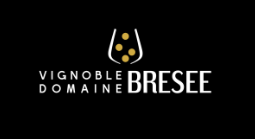 Breesee