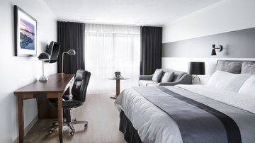 Chambre Reguliere King 2 (1)